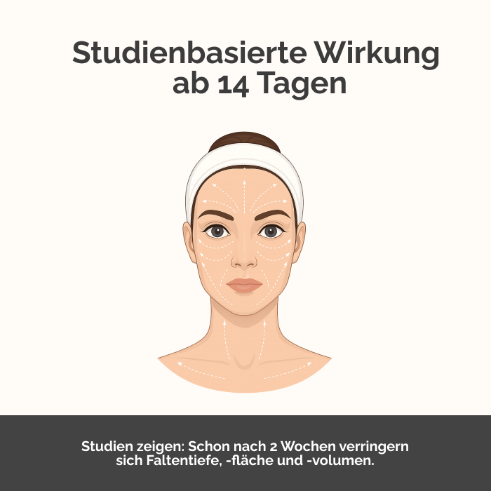 Soaring Stream Bild 3